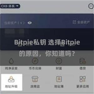 Bitpie私钥 选择Bitpie的原因，你知道吗？