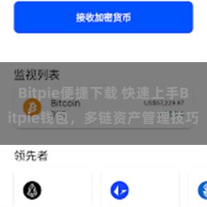 Bitpie便捷下载 快速上手Bitpie钱包，多链资产管理技巧