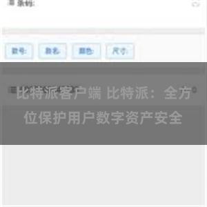 比特派客户端 比特派：全方位保护用户数字资产安全