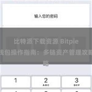 比特派下载资源 Bitpie钱包操作指南：多链资产管理攻略