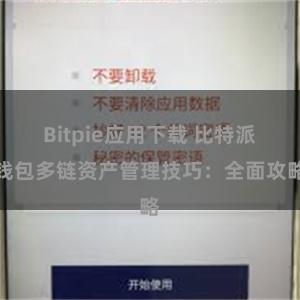 Bitpie应用下载 比特派钱包多链资产管理技巧：全面攻略