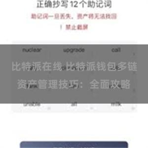 比特派在线 比特派钱包多链资产管理技巧：全面攻略