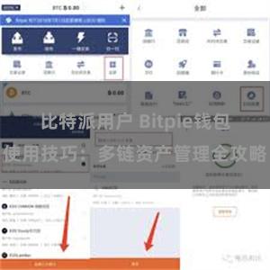 比特派用户 Bitpie钱包使用技巧：多链资产管理全攻略