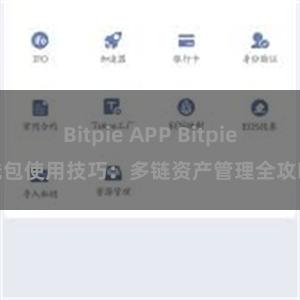 Bitpie APP Bitpie钱包使用技巧：多链资产管理全攻略