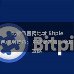 比特派官网地址 Bitpie钱包使用技巧：多链资产管理全攻略