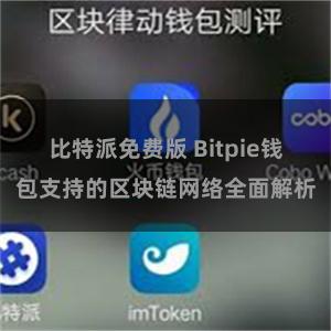 比特派免费版 Bitpie钱包支持的区块链网络全面解析