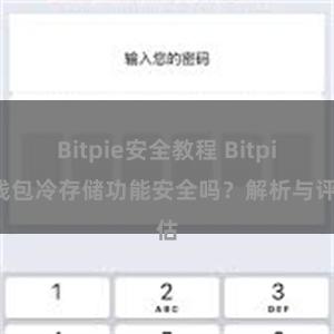 Bitpie安全教程 Bitpie钱包冷存储功能安全吗？解析与评估