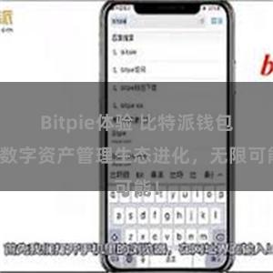 Bitpie体验 比特派钱包：数字资产管理生态进化，无限可能！