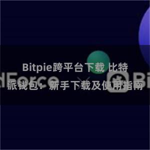 Bitpie跨平台下载 比特派钱包：新手下载及使用指南