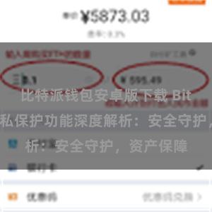 比特派钱包安卓版下载 Bitpie钱包隐私保护功能深度解析：安全守护，资产保障