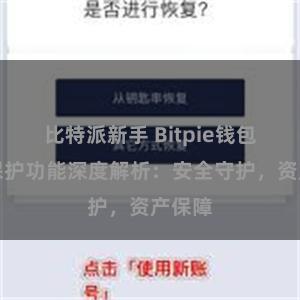 比特派新手 Bitpie钱包隐私保护功能深度解析：安全守护，资产保障