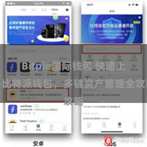 Bitpie国际钱包 快速上手比特派钱包，多链资产管理全攻略