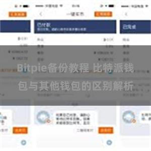 Bitpie备份教程 比特派钱包与其他钱包的区别解析