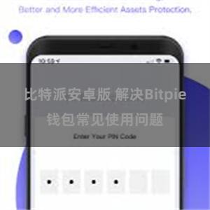 比特派安卓版 解决Bitpie钱包常见使用问题