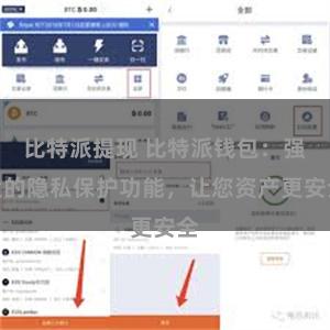 比特派提现 比特派钱包：强大的隐私保护功能，让您资产更安全