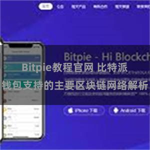 Bitpie教程官网 比特派钱包支持的主要区块链网络解析