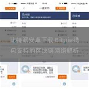 比特派安卓下载 Bitpie钱包支持的区块链网络解析