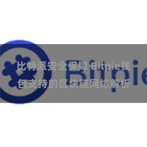 比特派安全保障 Bitpie钱包支持的区块链网络解析