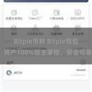 Bitpie币种 Bitpie钱包：资产100%自主掌控，安全可靠。