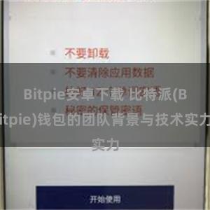 Bitpie安卓下载 比特派(Bitpie)钱包的团队背景与技术实力