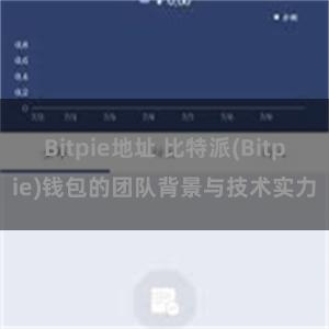 Bitpie地址 比特派(Bitpie)钱包的团队背景与技术实力