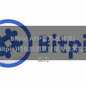 Bitpie APP官方 比特派(Bitpie)钱包的团队背景与技术实力