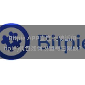 Bitpie APP直连 比特派(Bitpie)钱包如何设置每日限额？