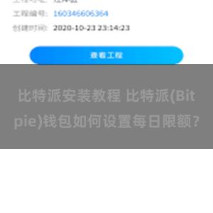 比特派安装教程 比特派(Bitpie)钱包如何设置每日限额？