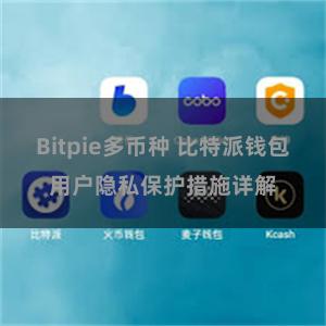 Bitpie多币种 比特派钱包用户隐私保护措施详解