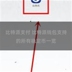 比特派支付 比特派钱包支持的所有稳定币一览