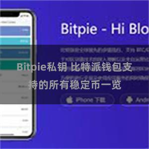 Bitpie私钥 比特派钱包支持的所有稳定币一览