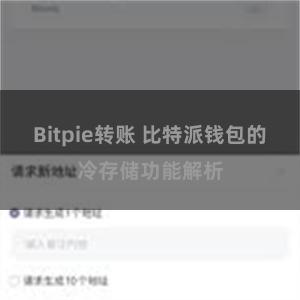 Bitpie转账 比特派钱包的冷存储功能解析