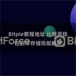 Bitpie教程地址 比特派钱包的冷存储功能解析