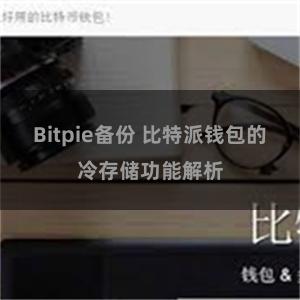 Bitpie备份 比特派钱包的冷存储功能解析