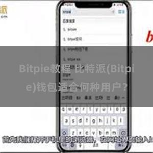 Bitpie教程 比特派(Bitpie)钱包适合何种用户？