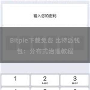 Bitpie下载免费 比特派钱包：分布式治理教程
